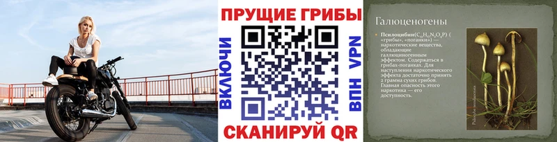 Галлюциногенные грибы MAGIC MUSHROOMS  Купить  Усть-Кут 
